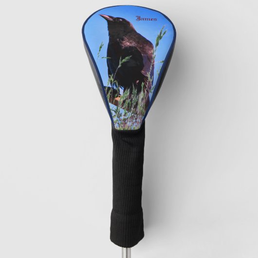 Zwarte Vogel - Raven Bestuurder Golfheadcover (Voorkant)