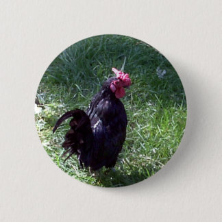 Zwarte vogel ronde button 5,7 cm