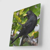 Zwarte vogel vierkante klok (Hoek)