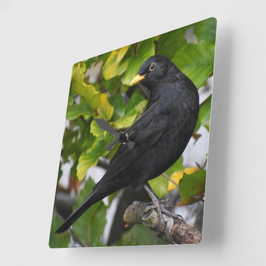 Zwarte vogel vierkante klok (Hoek)