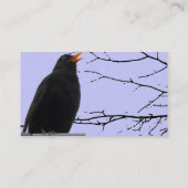 Zwarte vogel visitekaartje (Achterkant)