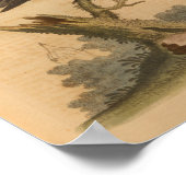  zwarte vogelafdrukken poster (Hoek)