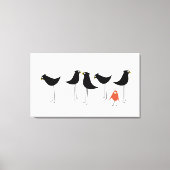 Zwarte-Vogelbezoeker, witte achtergrond Canvas Afdruk (Voorkant)