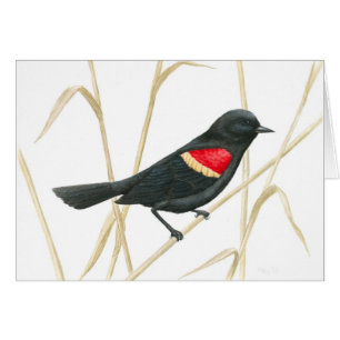 Zwarte-vogelkaart met rode vleugel