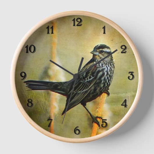 Zwarte-vogelklok met rode vleugel (Voorkant)