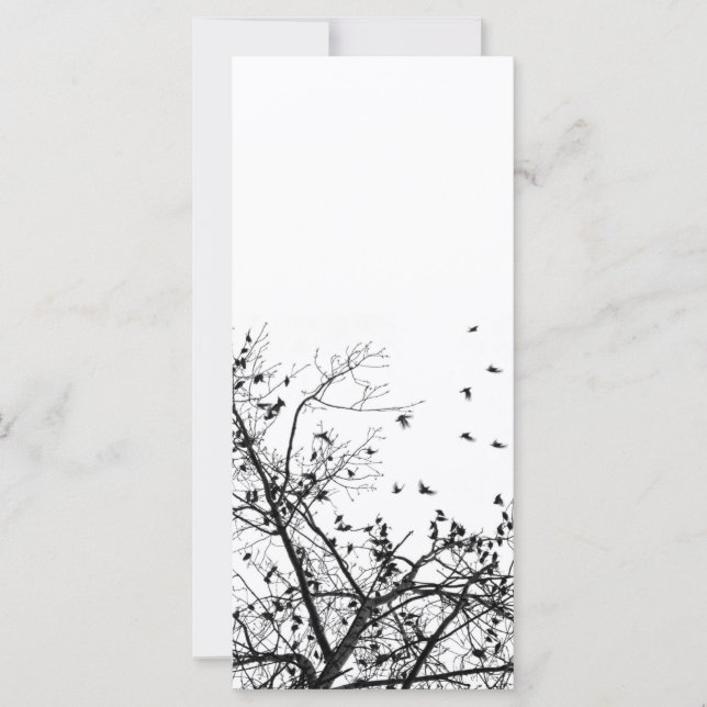 zwarte vogels (Voorkant)