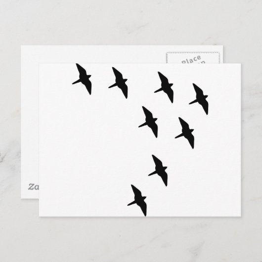 zwarte vogels briefkaart (Voorkant / Achterkant)