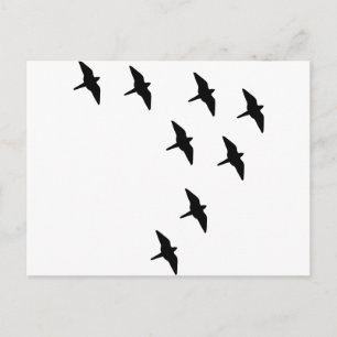 zwarte vogels briefkaart
