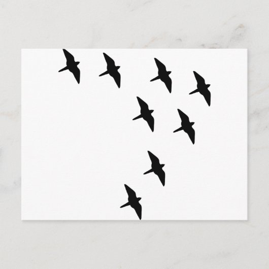 zwarte vogels briefkaart (Voorkant)