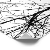 zwarte vogels poster (Hoek)