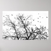 zwarte vogels poster (Voorkant)