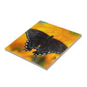 Zwarte vorm van oostelijke tijger tegeltje (Zijkant)