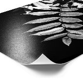 Zwarte Walnootbladeren in zwart-wit Foto Afdruk (Hoek)