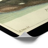  zwarte walvis — Afdruk Poster (Hoek)