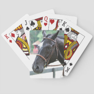 Zwarte Warmbloed Dekken kaarten