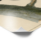 Zwarte Warrior (Rode Hawk) van Audubon Birds Foto Afdruk (Hoek)