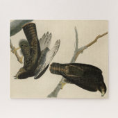Zwarte Warrior (Rode Hawk) van Audubon Birds Legpuzzel (Horizontaal)