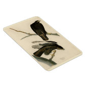 Zwarte Warrior (Rode Hawk) van Audubon Birds Magneet (Rechterzijde)