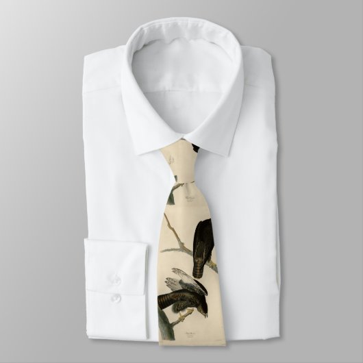 Zwarte Warrior (Rode Hawk) van Audubon Birds Stropdas (Gebonden)