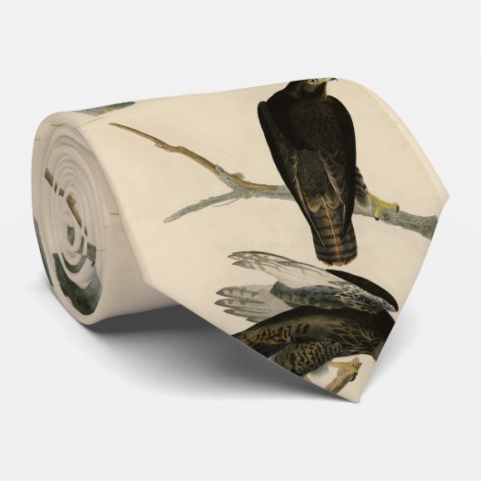 Zwarte Warrior (Rode Hawk) van Audubon Birds Stropdas (Opgerold)