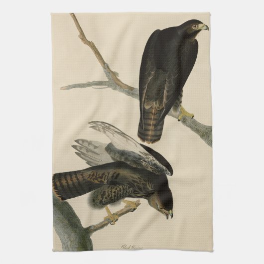 Zwarte Warrior (Rode Hawk) van Audubon Birds Theedoek (Verticaal)