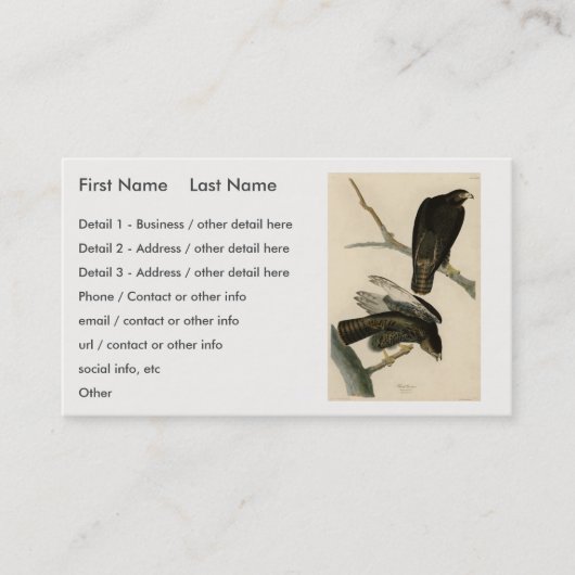 Zwarte Warrior (Rode Hawk) van Audubon Birds Visitekaartje (Voorkant)