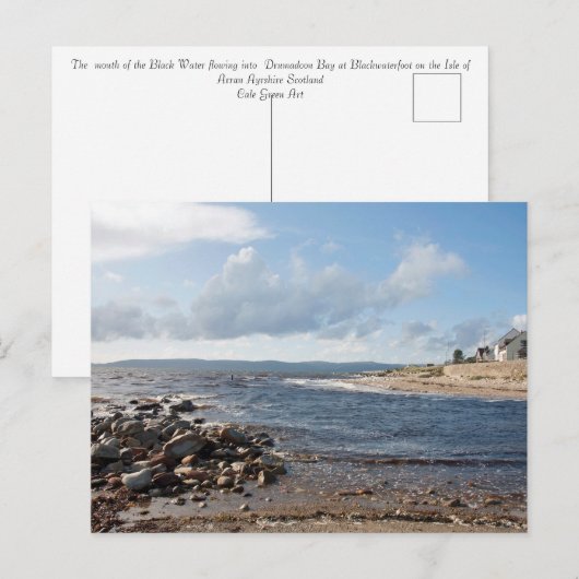 Zwarte watervoet briefkaart (Voorkant / Achterkant)