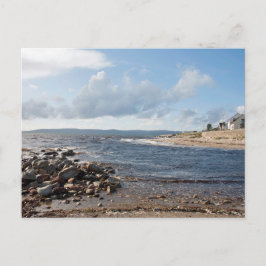 Zwarte watervoet briefkaart