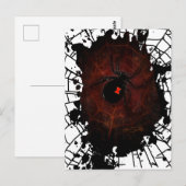 Zwarte weduwe briefkaart (Voorkant / Achterkant)