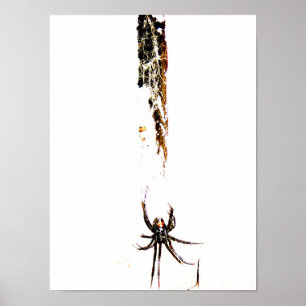 zwarte weduwe poster