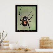 Zwarte weduwe poster (Keuken)