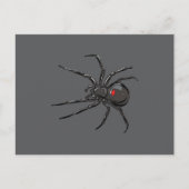 Zwarte Weduwe Spider Originele Tekenkunst Briefkaart (Voorkant)