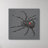 Zwarte Weduwe Spider Originele Tekenkunst Canvas Afdruk (Voorkant)