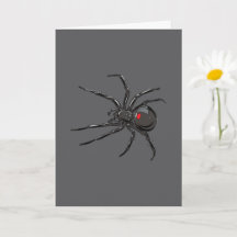 Zwarte Weduwe Spider Originele Tekenkunst
