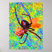 Zwarte Weduwe Spin Eet Poster (Voorkant)