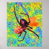 Zwarte Weduwe Spin Etend Poster (Voorkant)