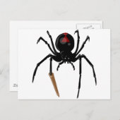 zwarte weduwnaar briefkaart (Voorkant / Achterkant)