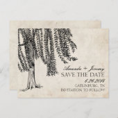 zwarte weep Willow slaat de datum op Aankondigingskaart (Voorkant / Achterkant)