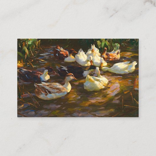 zwarte witachtige eenden in het zeewater visitekaartje (Achterkant)