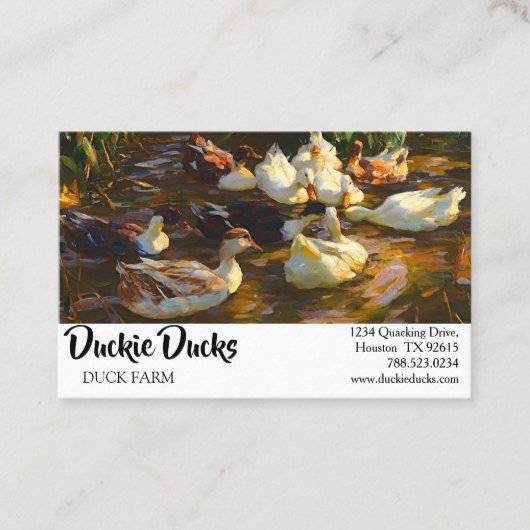 zwarte witachtige eenden in het zeewater visitekaartje (Voorkant)