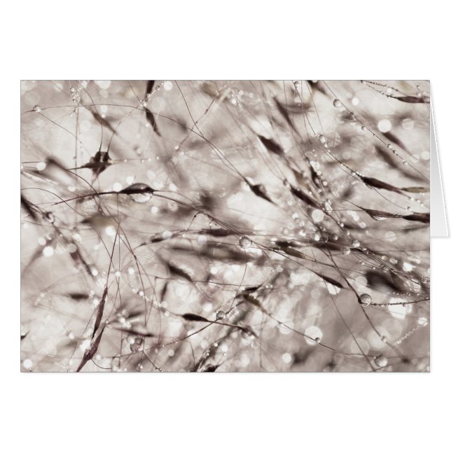 Zwarte witte Abstracte natte grasdewtextuur Natuur (Voorkant Horizontaal)