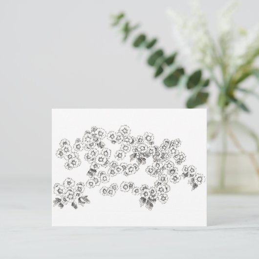 Zwarte Witte Asters Pen en Inkt Bloemen Briefkaart (Staand voorkant)