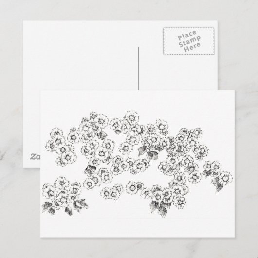 Zwarte Witte Asters Pen en Inkt Bloemen Briefkaart (Voorkant / Achterkant)