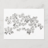 Zwarte Witte Asters Pen en Inkt Bloemen Briefkaart (Voorkant)