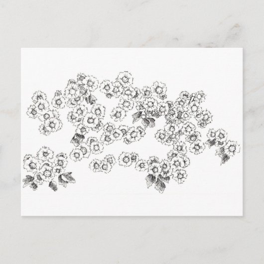 Zwarte Witte Asters Pen en Inkt Bloemen Briefkaart (Voorkant)