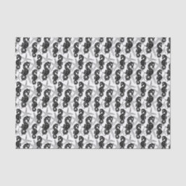 Zwarte witte bijtvis en zeehondenweefsel tissuepapier