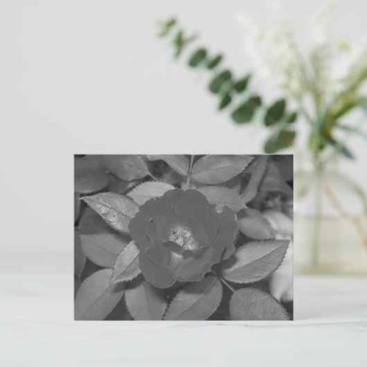 Zwarte & Witte Bloem Briefkaart (Staand voorkant)