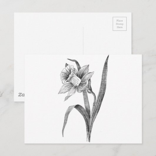 zwarte witte bloemen diffodil briefkaart (Voorkant / Achterkant)