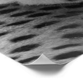 Zwarte witte cheetah luipaard oerwoud dierfoto poster (Hoek)