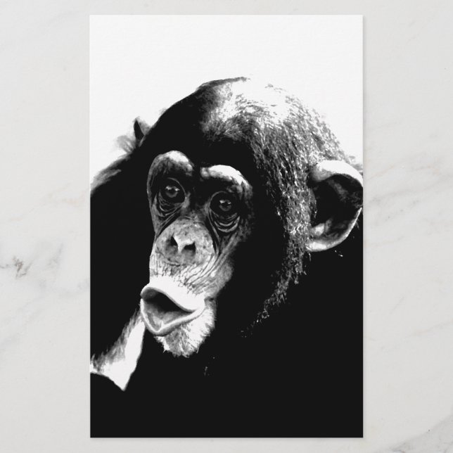 Zwarte witte chimpansee (Voorkant)